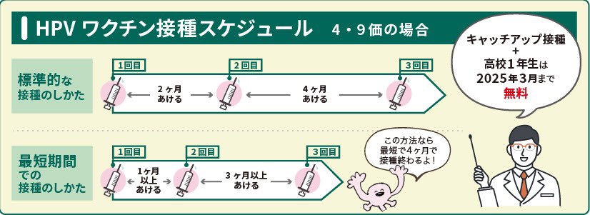 HPV接種スケジュール